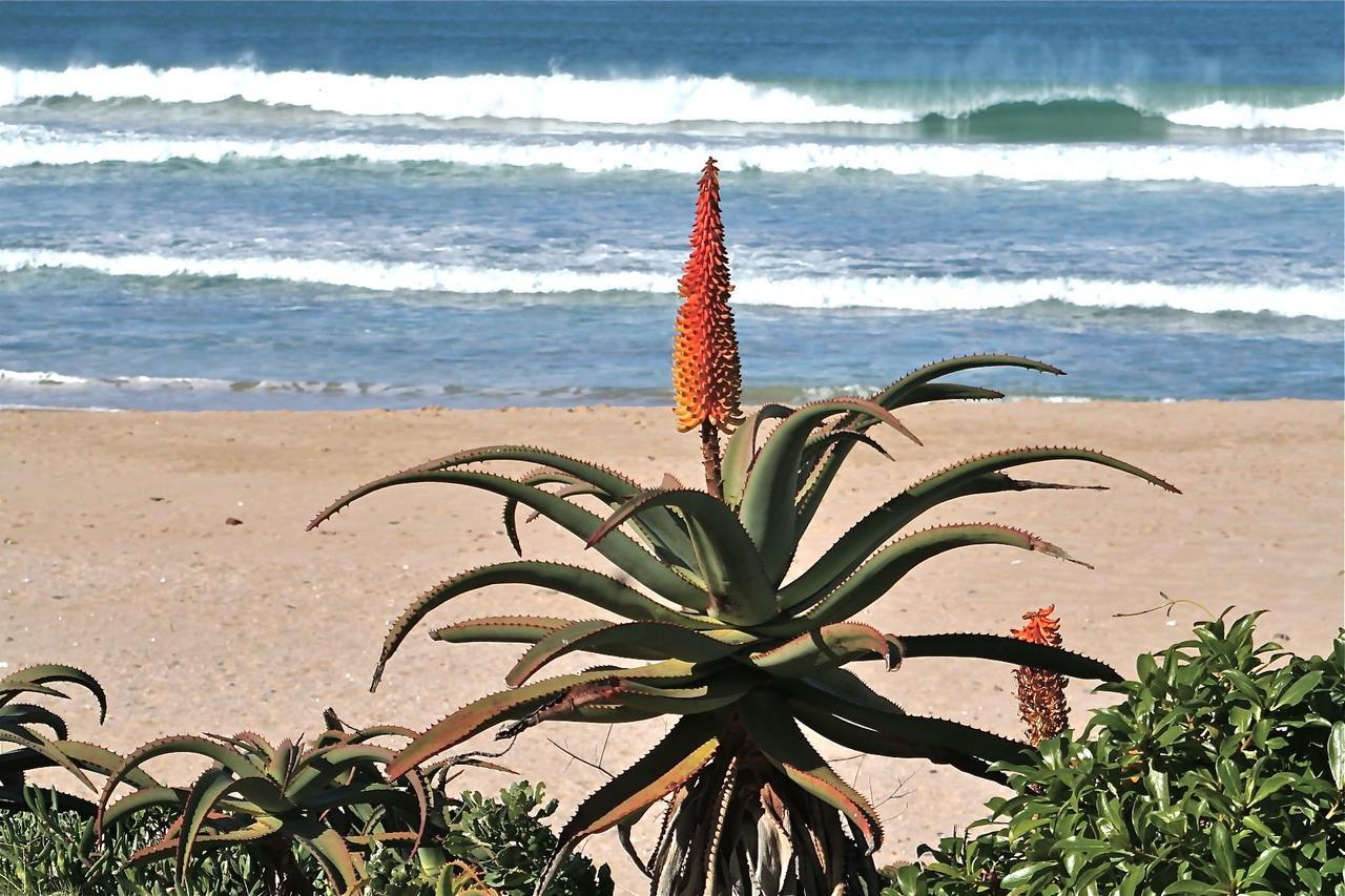 Appartement Alpha à Jeffreys Bay Extérieur photo